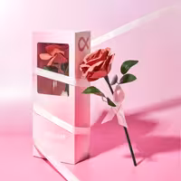 رژ گونه گل رز شیگلم