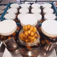 سیرترشی 4ساله واقعی