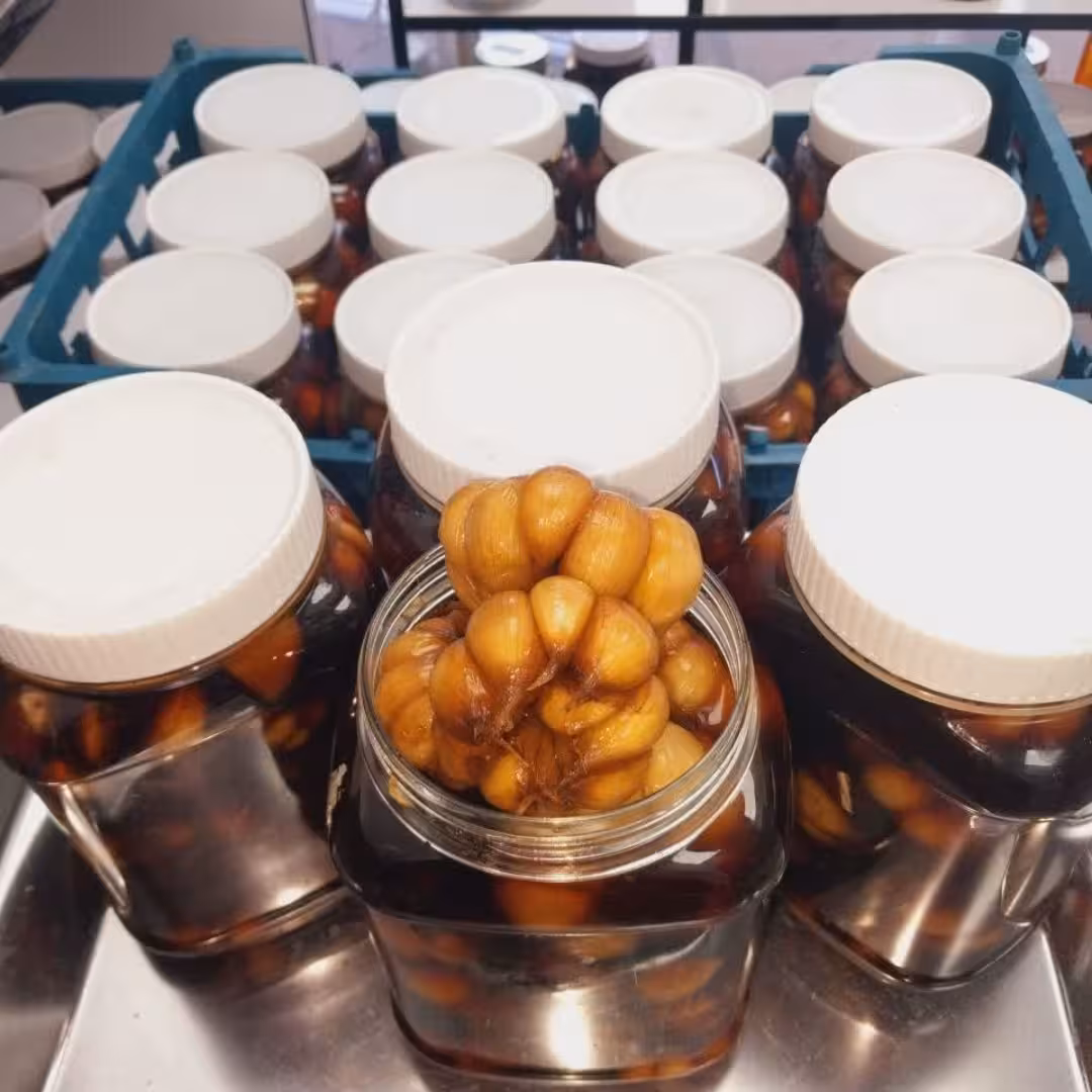 سیرترشی 4ساله واقعی