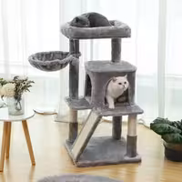 اسکرچر گربه مدل B43