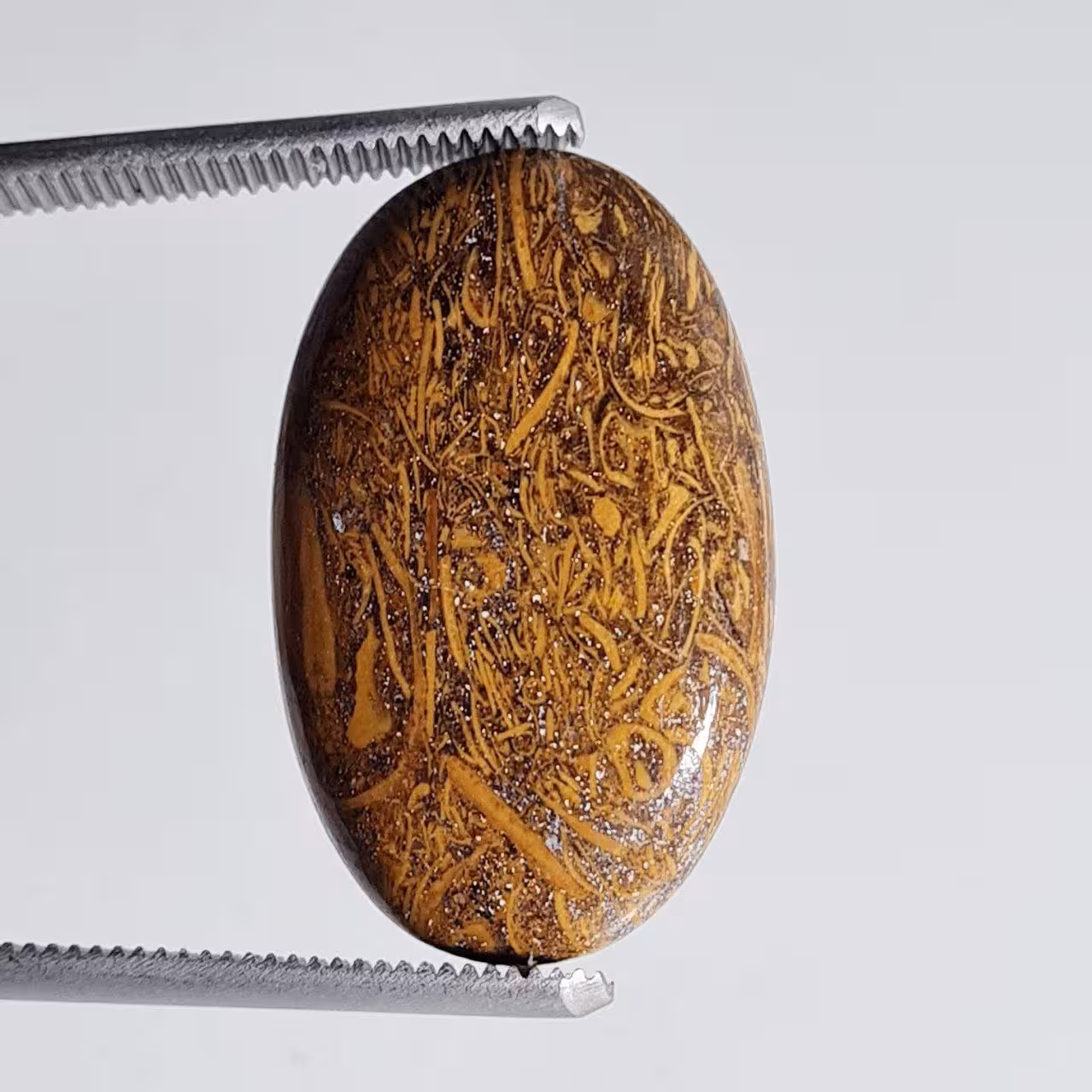 نگین جاسپر مریم بیضی 7082