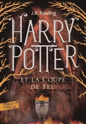 کتاب رمان فرانسوی هری پاتر Harry Potter – Tome 4 : Harry Potter et la coupe de feu