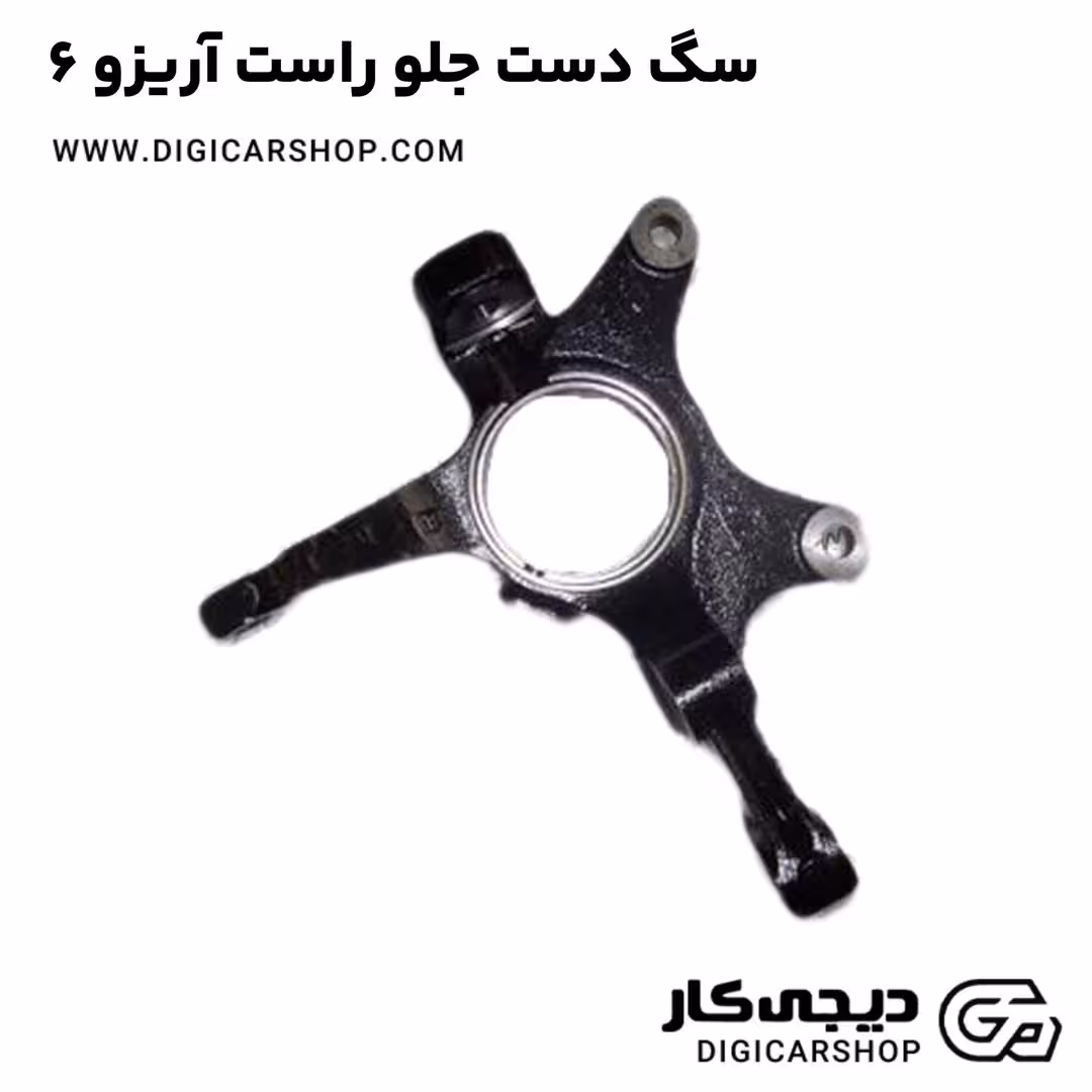 سگ دست جلو راست آریزو 6