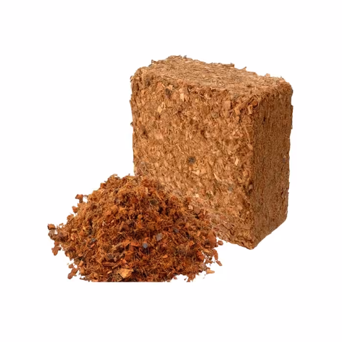 خاک کوکو چیپس