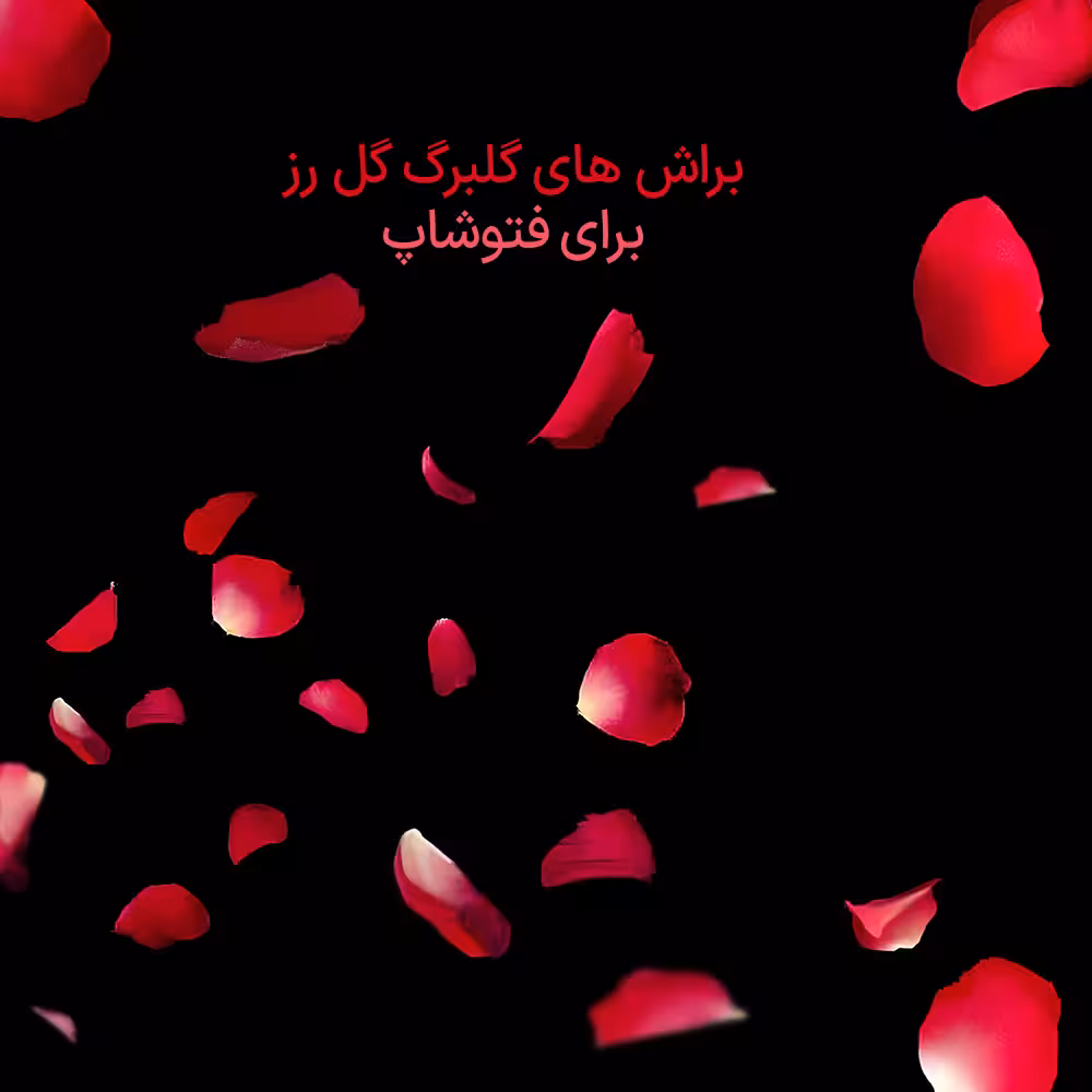 براش های گلبرگ گل رز برای فتوشاپ