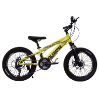 دوچرخه المپیا سایز 20 مدل بیانچی OLYMPIA BIANCHI دیسک مکانیکی 21 دنده