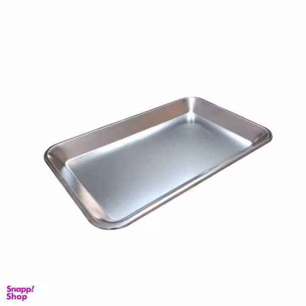 سینی مدل کاکتوس استیل 005