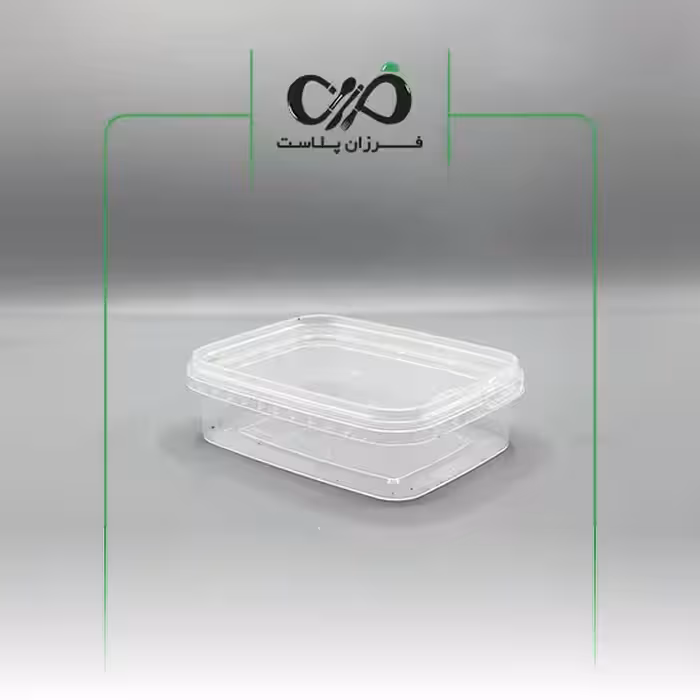 ظرف یکبار مصرف مایکروویوی فریزری مستطیل 250cc پولاد پویش با درب بسته 10 عددی