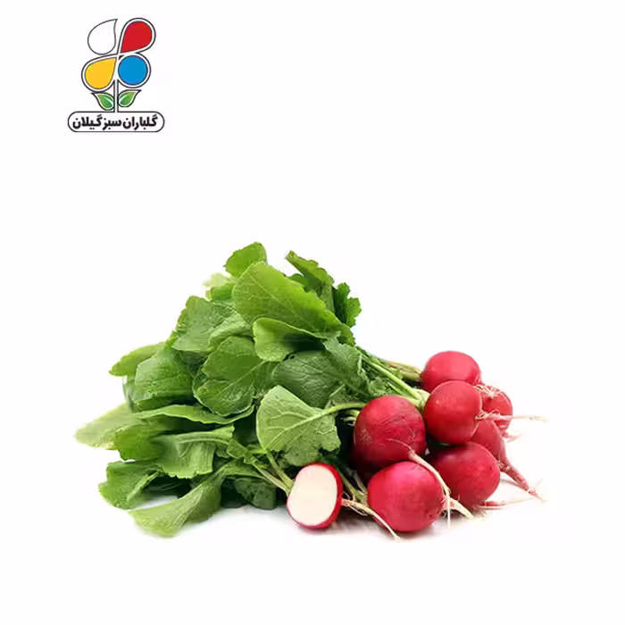 بذر تربچه بسته بندی بزرگ