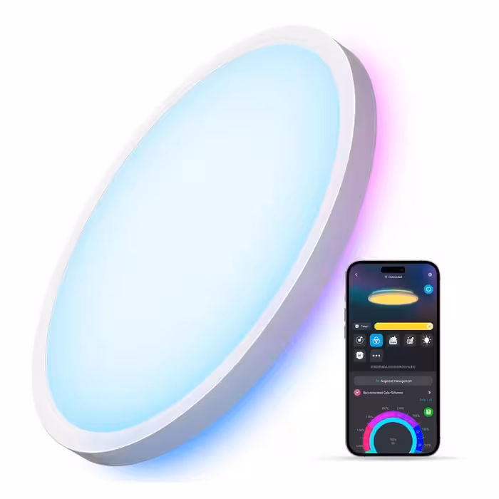 خرید چراغ سقفی هوشمند Govee Smart Ceiling Light