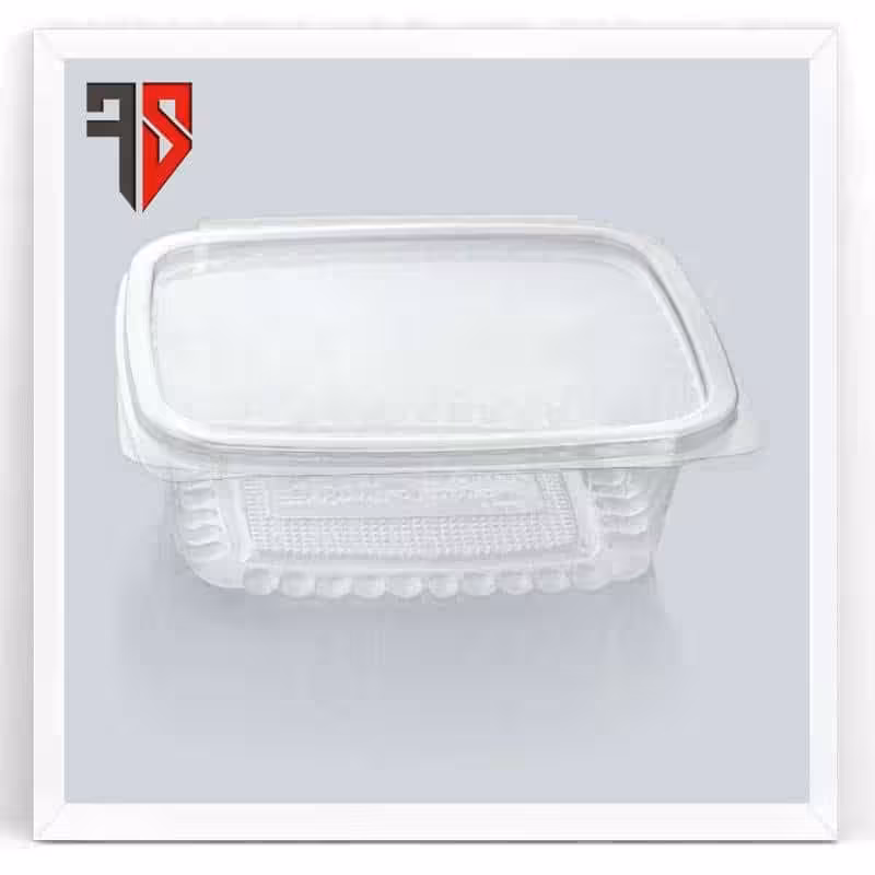 ظرف یکبار مصرف دلی 500 پرشیا (450عددی)