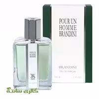 ادوپرفیوم مردانه پوران هوم pourun homme برندینی BRANDINI حجم 33