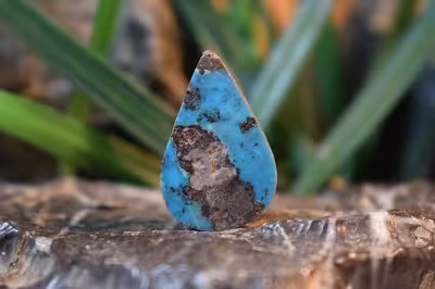 فیروزه نیشابور