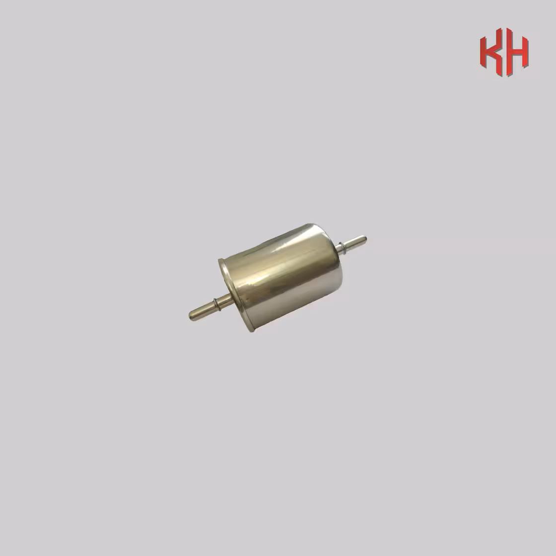 فیلتر بنزین ام وی ام x33s