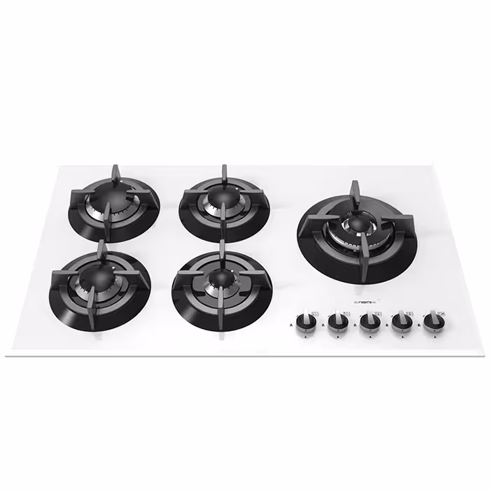 گاز صفحه ای رابیتس RG-550W