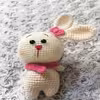 عروسک بافتنی مدل خرگوش های بامزه مجموعه 2 عددی