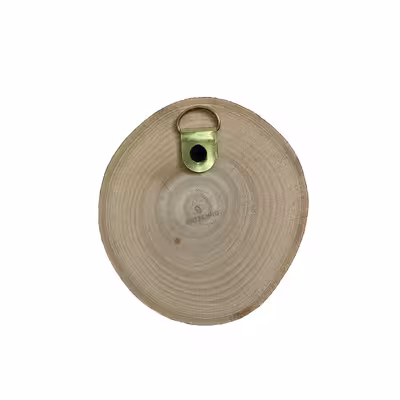 دیوارکوب آرت تکنو مدل بز کد W10