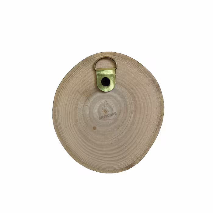 دیوارکوب آرت تکنو مدل بز کد W10