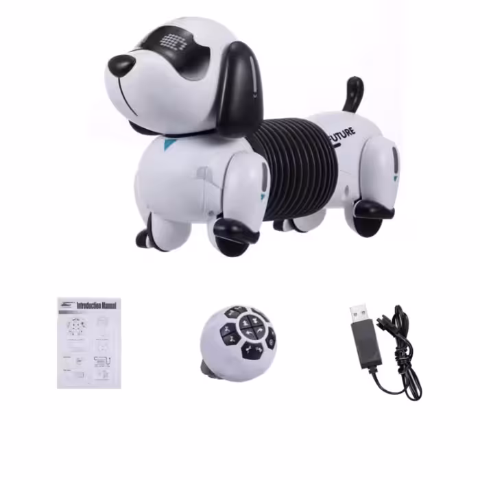 ربات کنترلی مدل سگ رباتیک