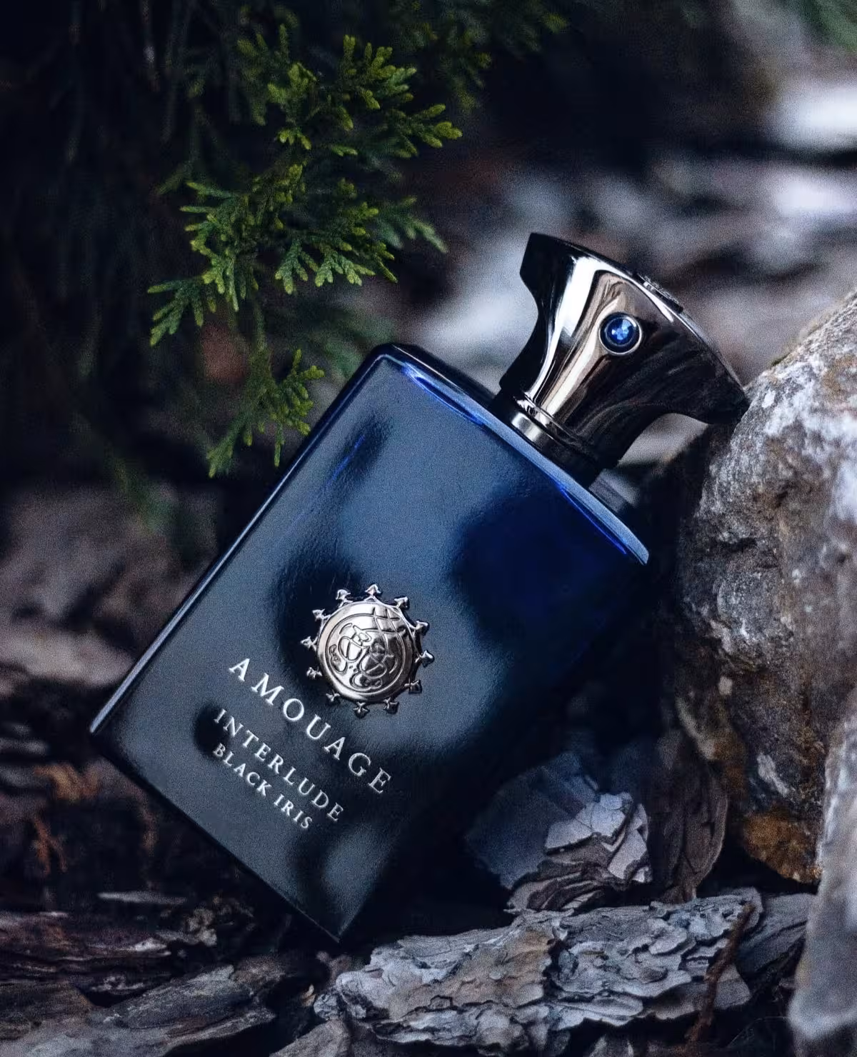 عطر ادکلن آمواج اینترلود بلک ایریس مردانه اصل | Amouage Interlude Black Iris Man 100 ml