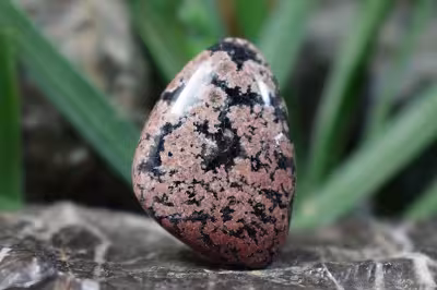 نبولا جاسپر