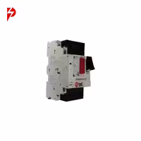 کلید حرارتی 40 – 25 ISBS