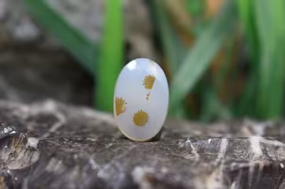 عقیق شجر برزیل