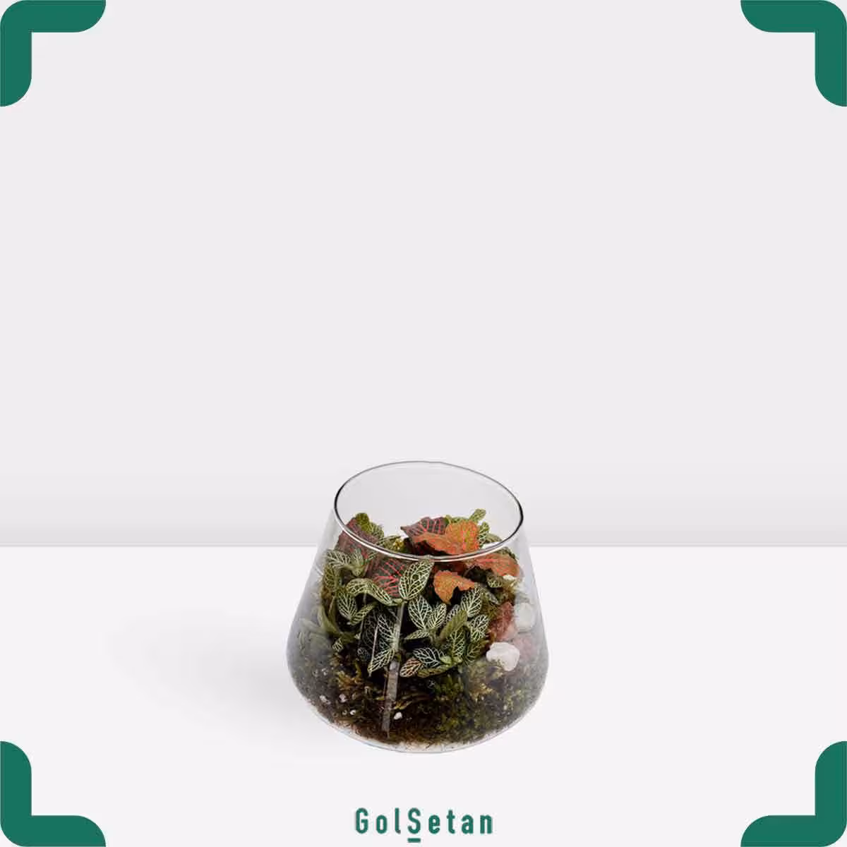 تراریوم فوتونیا شاتل کد S31