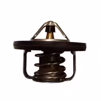 ترموستات فلوئنس