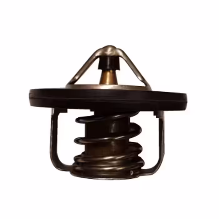 ترموستات فلوئنس