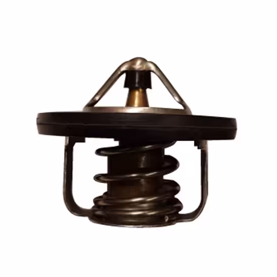 ترموستات فلوئنس