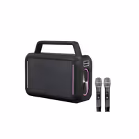 اسپیکر فیلیپس مدل SD228 به همراه 2 عدد میکروفون