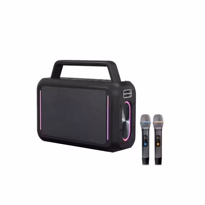 اسپیکر فیلیپس مدل SD228 به همراه 2 عدد میکروفون