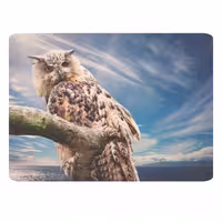 پد موس - پد ماوس  طرح جغد کد B456