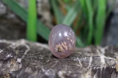 عقیق شجر شکوفه بهاری فردوس