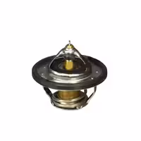 ترموستات IX45 جنیون