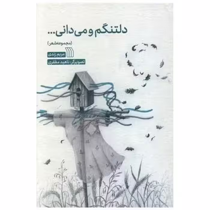 کتاب دلتنگم و می دانی اثر مریم زندی