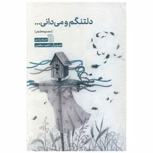 کتاب دلتنگم و می دانی اثر مریم زندی