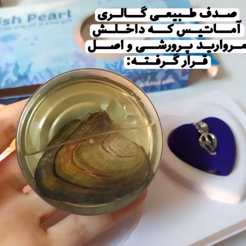 گردنبند مروارید عشق