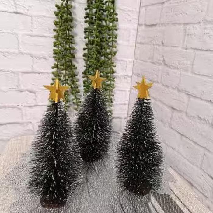 درخت کاج ارتفاع 20 سانت