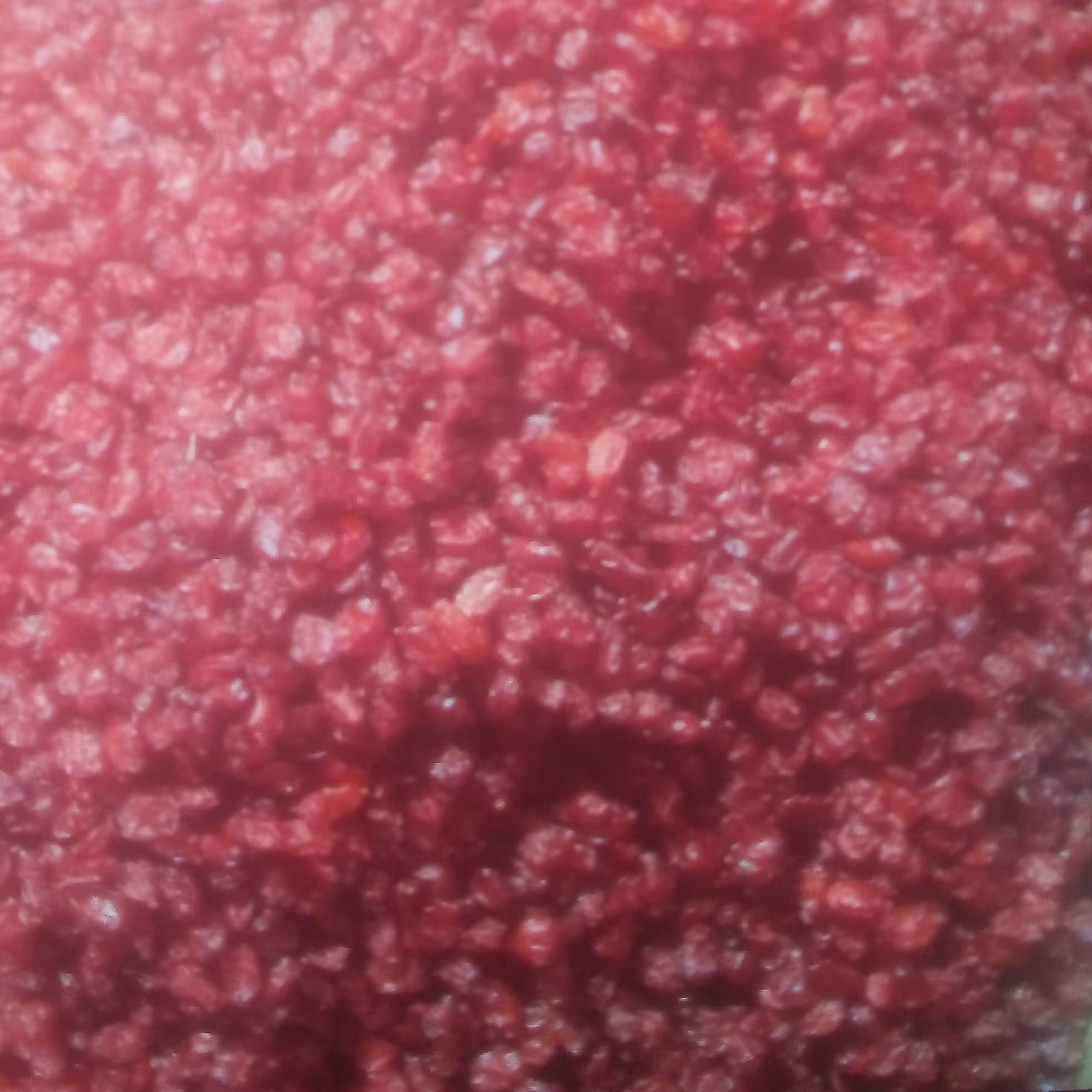 زرشک اناری تازه ( 1 کیلوگرم )