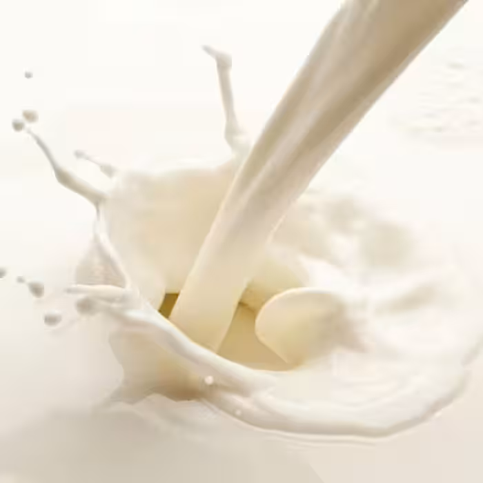 دوغ کفیر فله ای