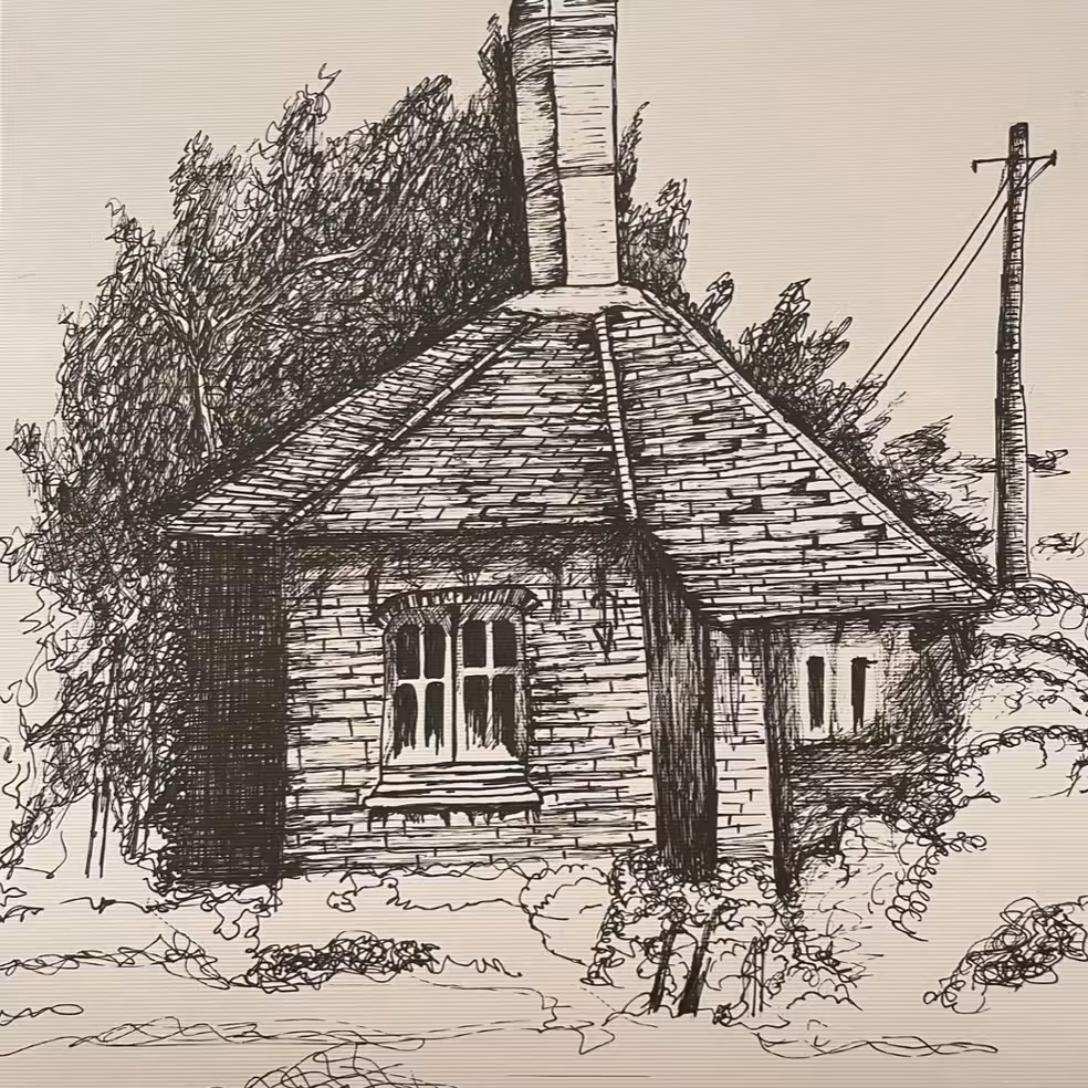 نقاشی راپید