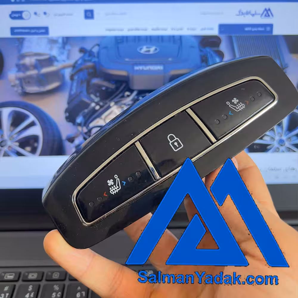 کلید گرمکن سرد کن سانگ یانگ چایر من