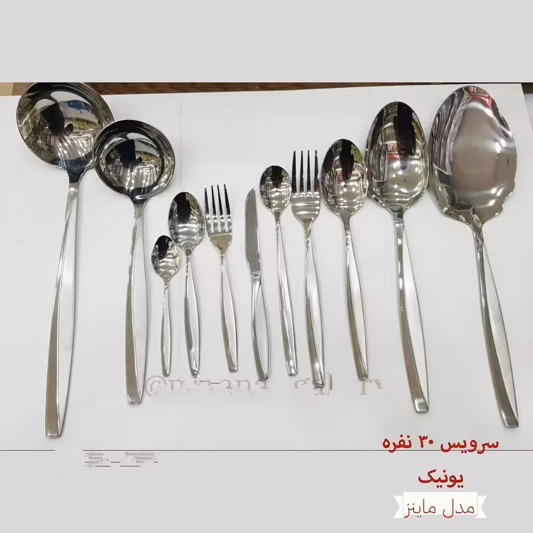 سرویس قاشق و چنگال یونیک مدل ماینز