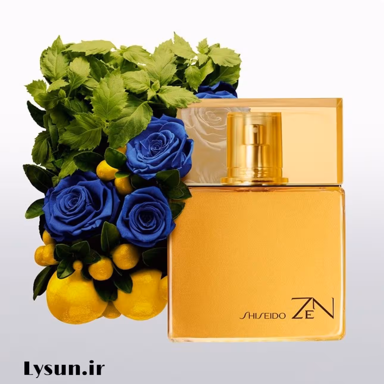 زن شیسیدو کد 938