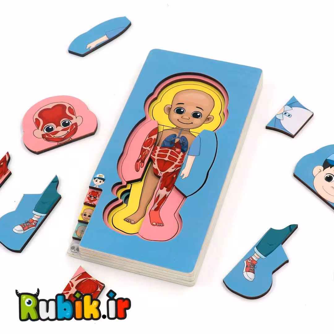 پازل چند لایه اعضای بدن