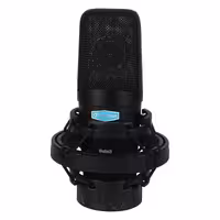 میکروفون Alctron BETA3