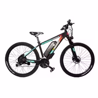 دوچرخه برقی مدل بتا پلاس سری Wstandard