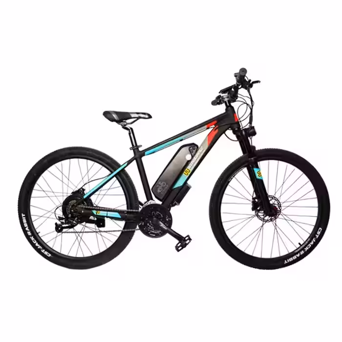 دوچرخه برقی مدل بتا پلاس سری Wstandard